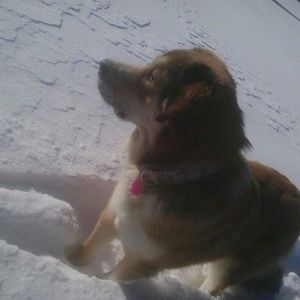 Meet your Posher, Martin